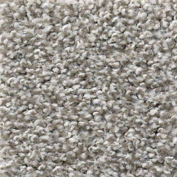 Shaw Poised Flannel Gray in Huntington Beach, CA from B&B Carpets and Flooring