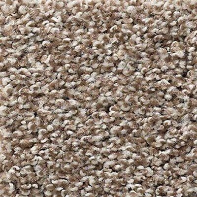 Shaw Poised Brown Sugar carpet in Seal Beach, CA from B&B Carpets and Flooring